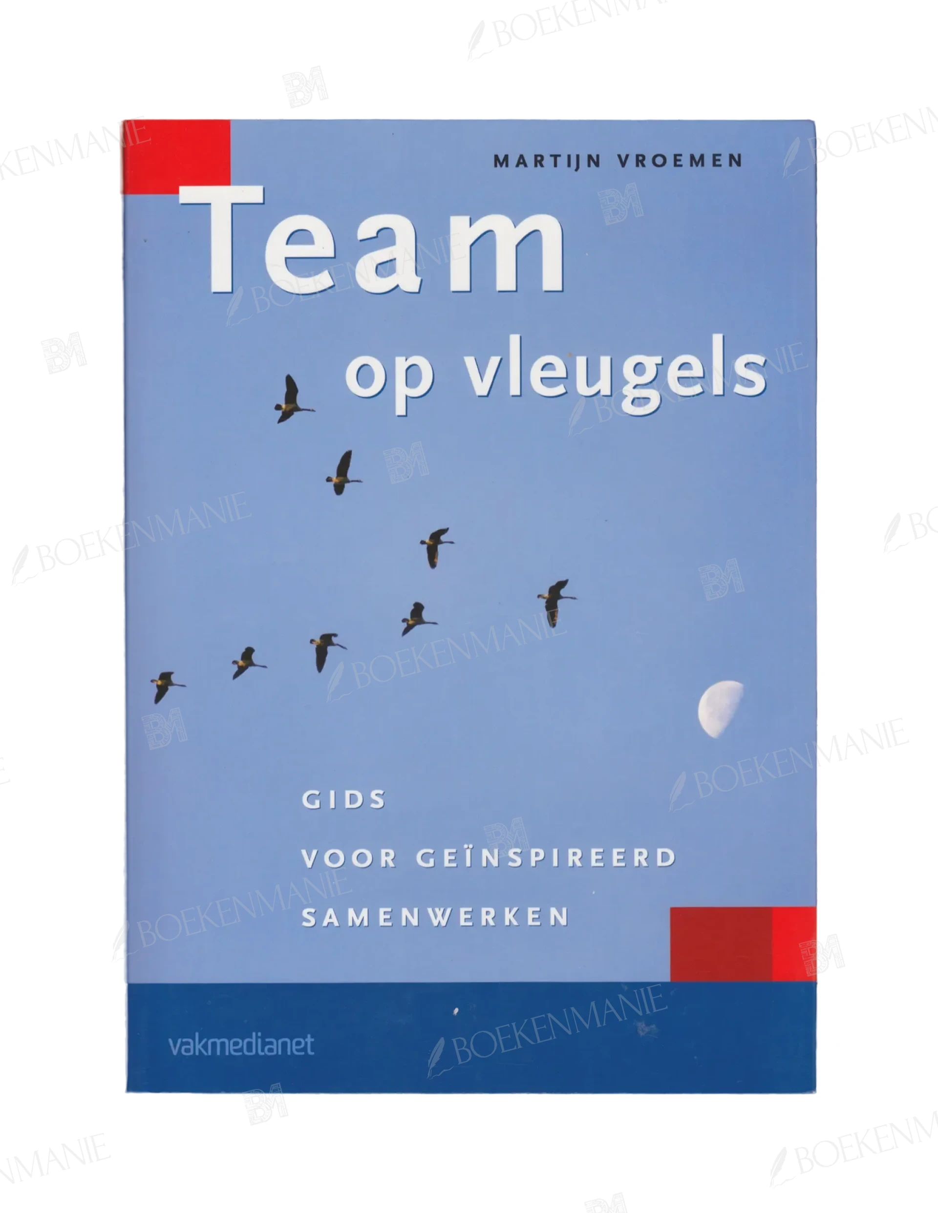 Photo of book Team op vleugels - Martijn W. Vroemen