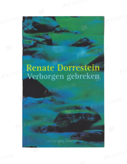 Photo of book Verborgen Gebreken Ing - Renate Dorrestein
