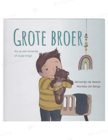 Photo of book Grote broer - Willemijn de Weerd
