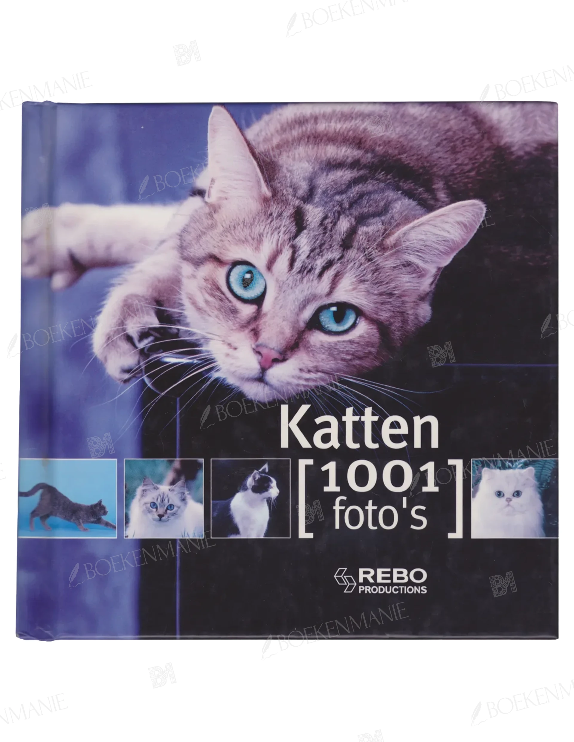 Photo of book Katten - Yann Susic