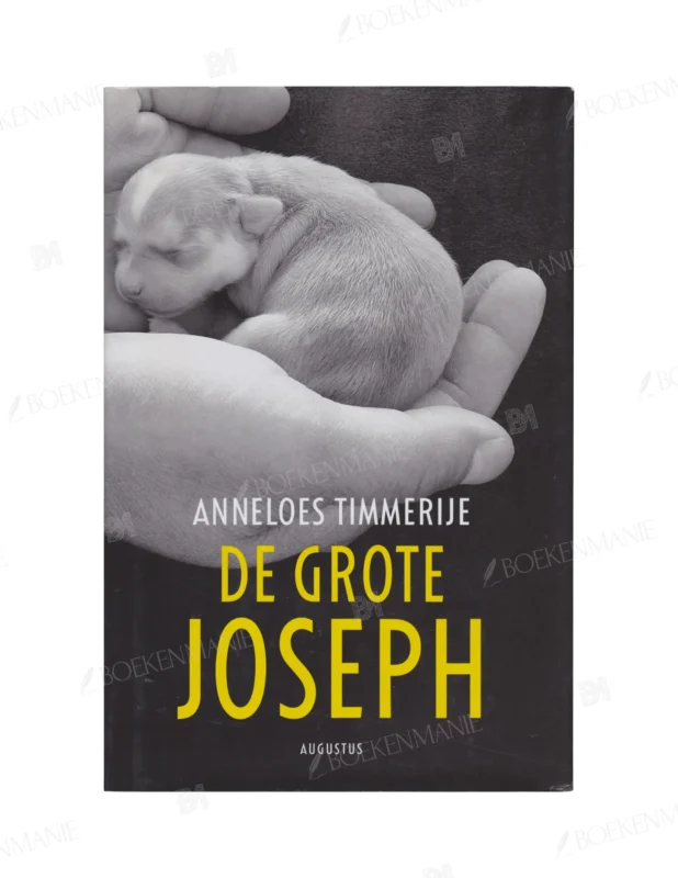 Photo of book De grote Joseph - Anneloes Timmerije