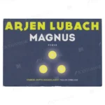 Photo of book Magnus - Arjen Lubach