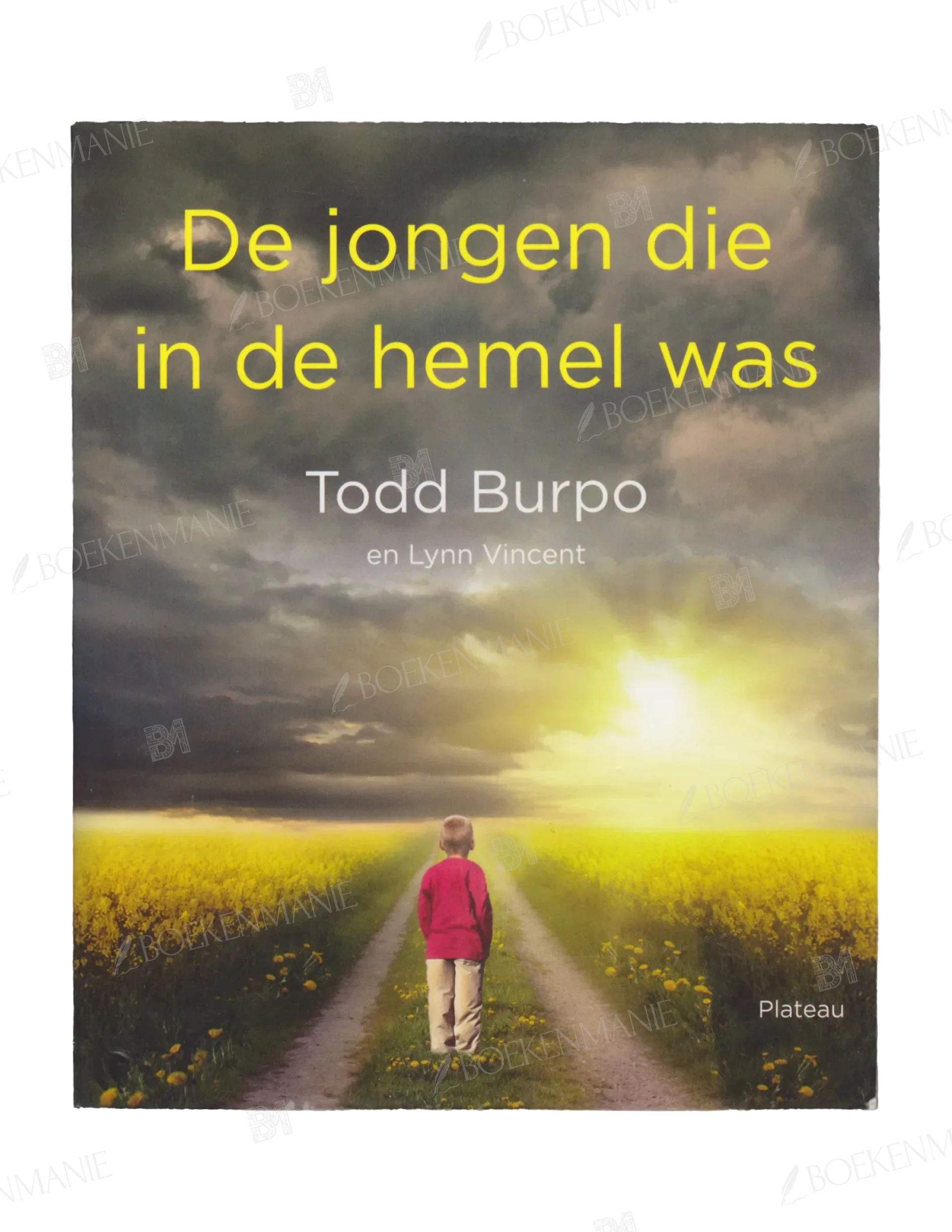 9789058040879.webp Photo of book De jongen die in de hemel was / druk 1 - Todd Burpo, Lynn Vincent