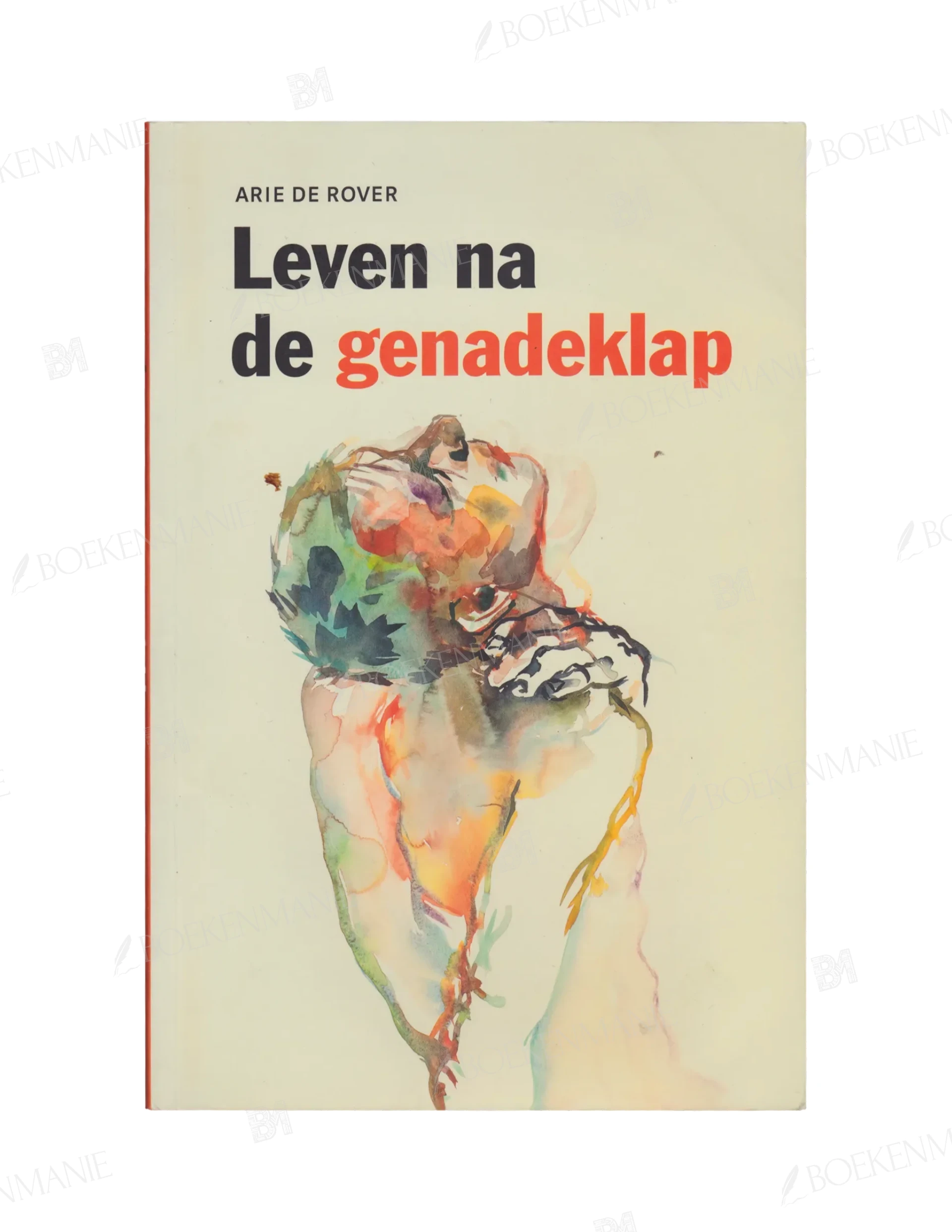 9789058816993.webp Photo of book Leven na de genadeklap / druk 1 - Arie de Rover
