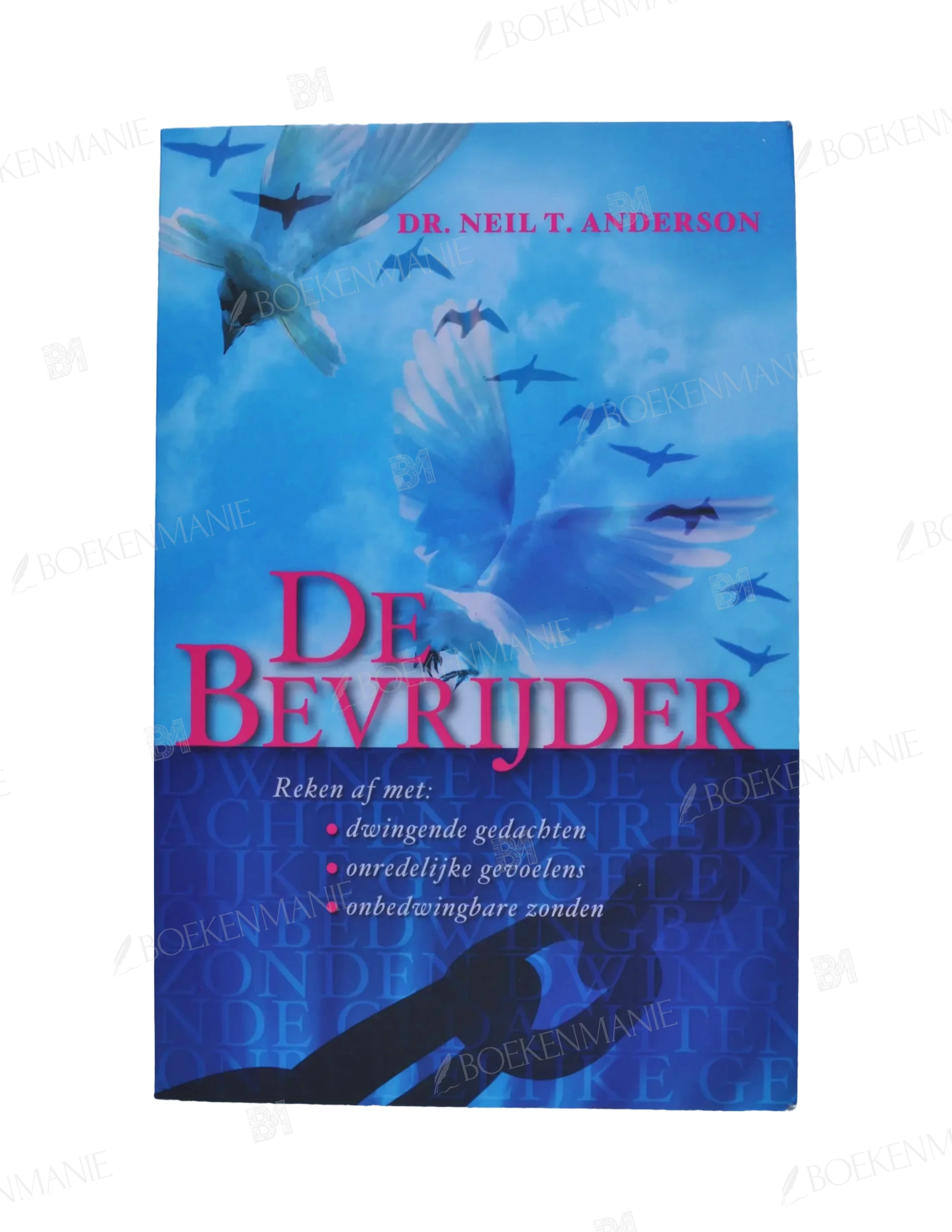 Photo of book De bevrijder / druk 1 - Neil T. Anderson