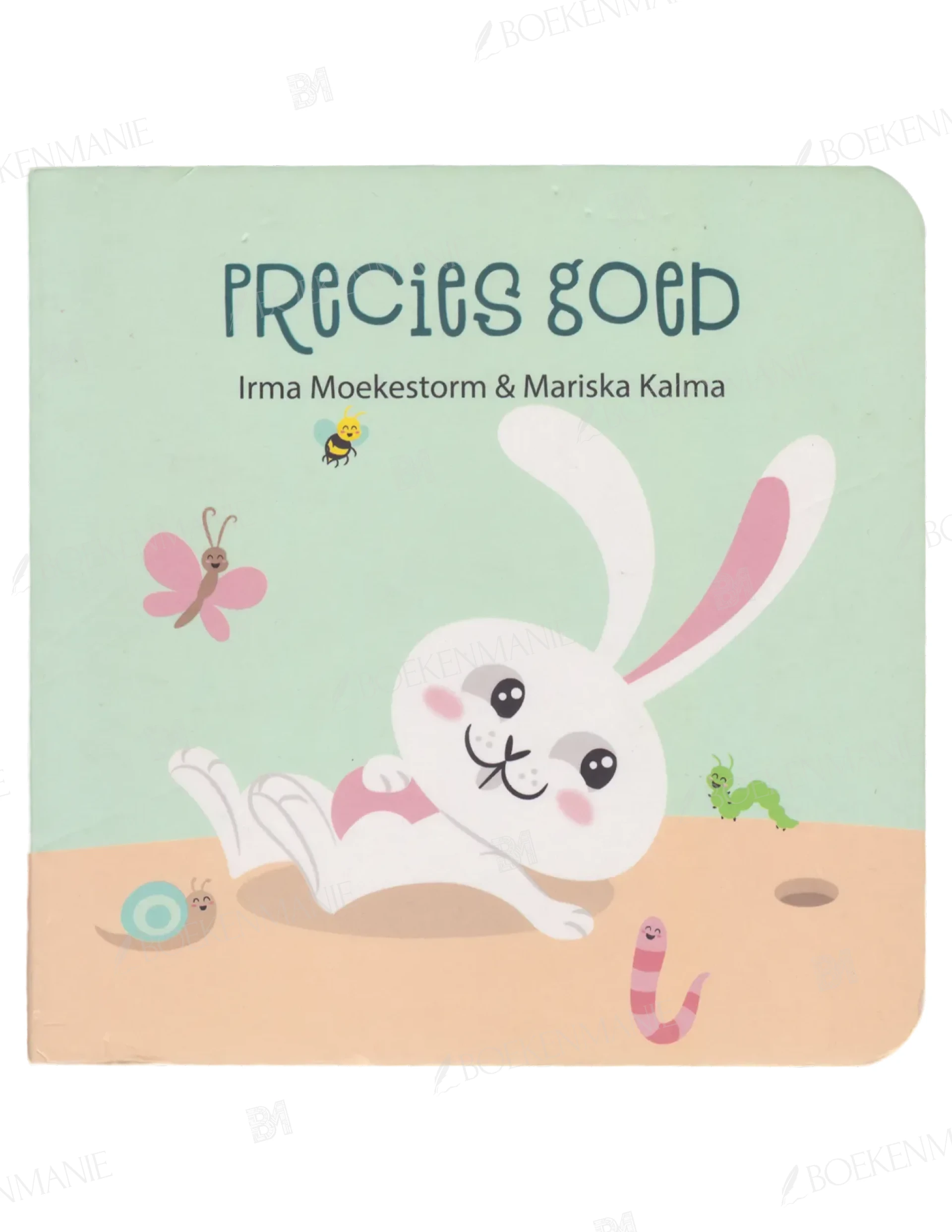 9789087820602.webp Photo of book Precies goed - Irma Moekestorm