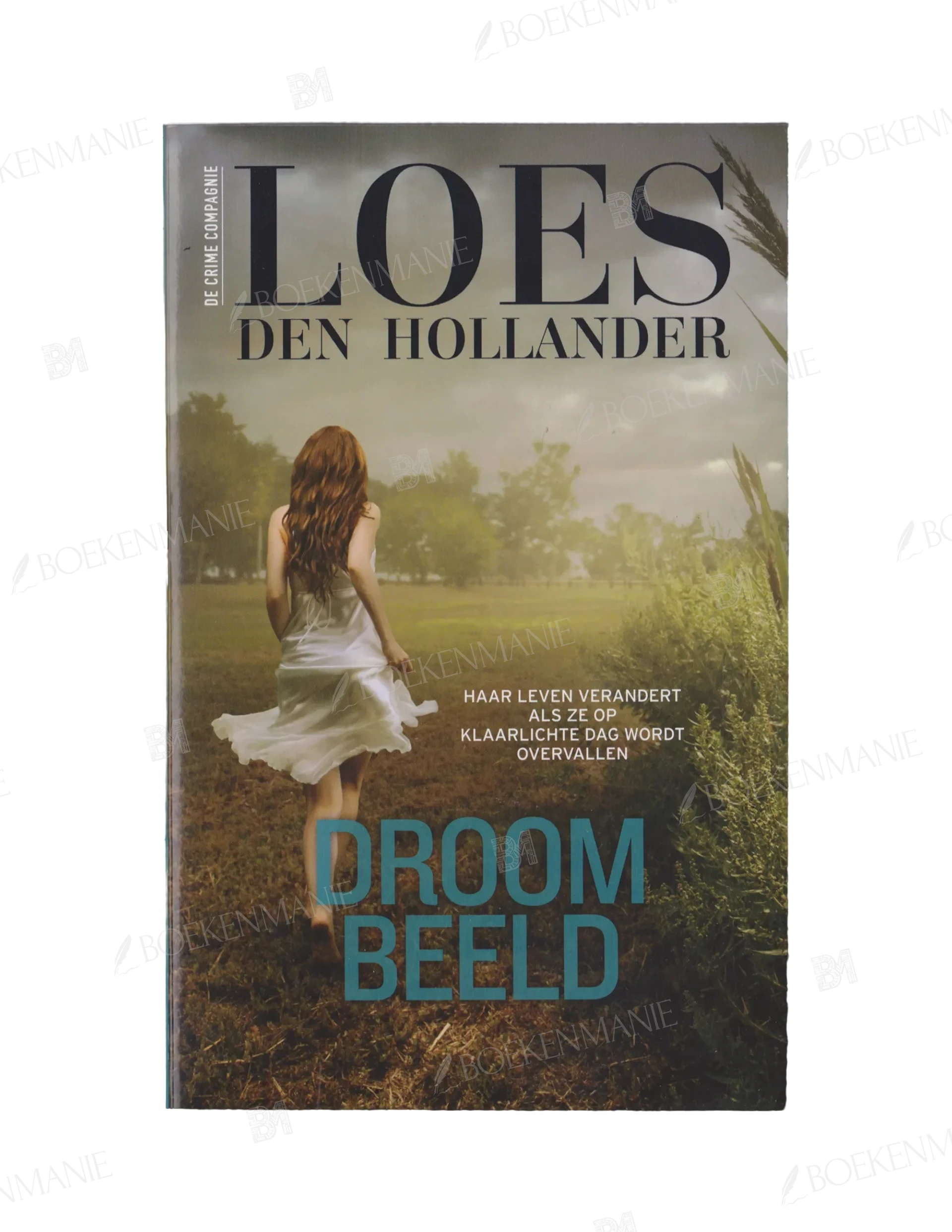 9789461094339.webp Photo of book Droombeeld - Loes den Hollander